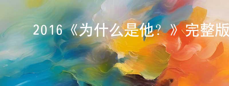 安淑贤的动漫综艺大全,2016《为什么是他?》完整版电影/在线观看/百度云-美剧天堂